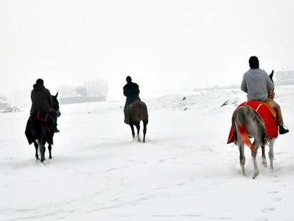 At sırtında kaçak elektrik denetimi
