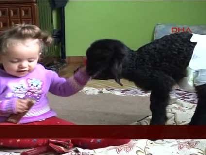 Cihat Şenerman annesi ölen kuzuyu evlatlık edindi