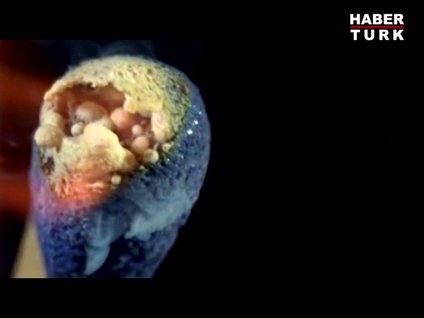 Ağır çekimde kibritin yanma anı!