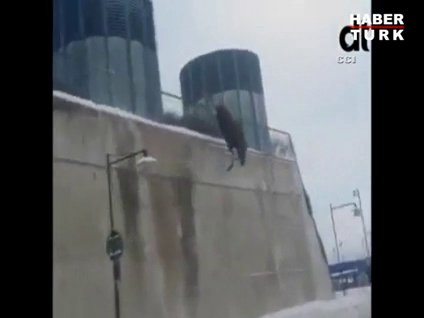 Bacakları böyle kırıldı!