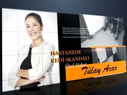 Hastanede kedi skandalı