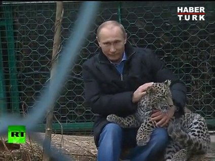 Vladimir Putin leopar kafesine girdi