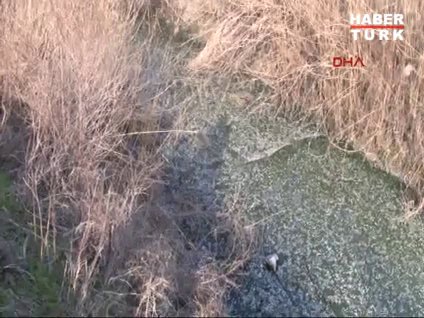 Manyas Gölü'nde korkutan görüntü