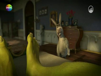 Shrek vârisini arıyor