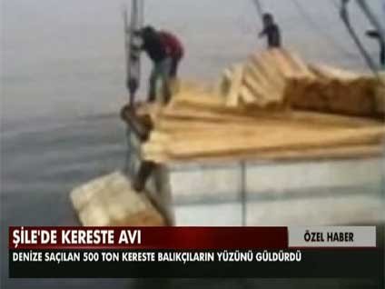 Şile'de kereste avı kameralara böyle yansıdı