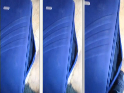 Bavuldan çıkana inanamayacaksınız!