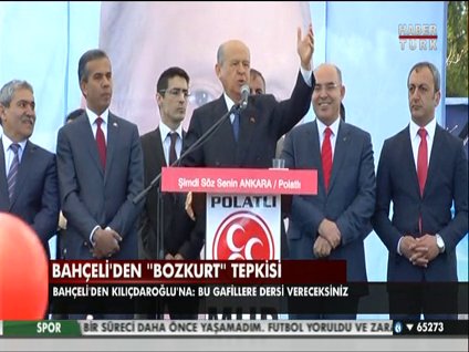 Bahçeli'den 'Bozkurt' tepkisi