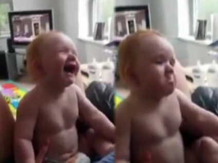 'Köpek sesi' - 'Kedi sesi'