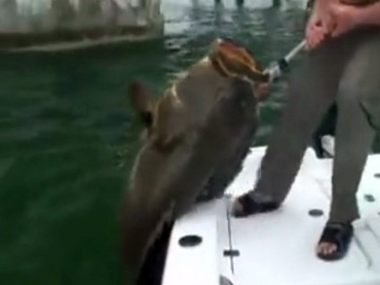 Büyük balıkla daha büyük balık!