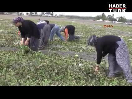 Doğal afetlerden muzdarip çiftçi borçların ertelenmesini bekliyor 