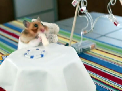 Dürüm yiyen hamster