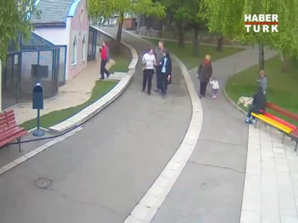 Kurt saldırısı kamerada!