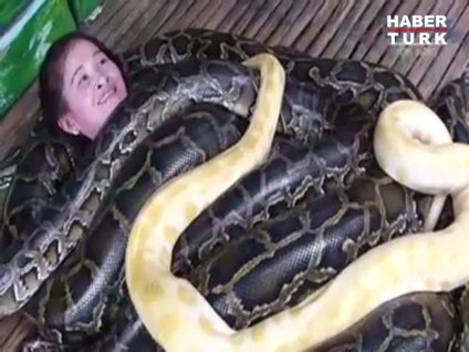 Dev pitonlarla spa keyfi!