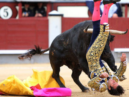 Boğadan kurtulamadı!