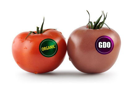 Türkiye'de "GDO" artık binde 9 serbest