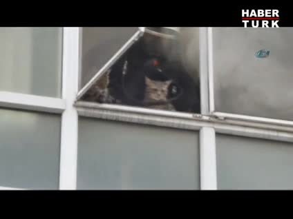 Yavru kediler yangında mahsur kaldı