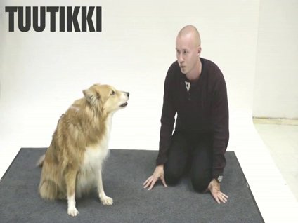 Köpekler havlayan insanlara nasıl tepki verir?