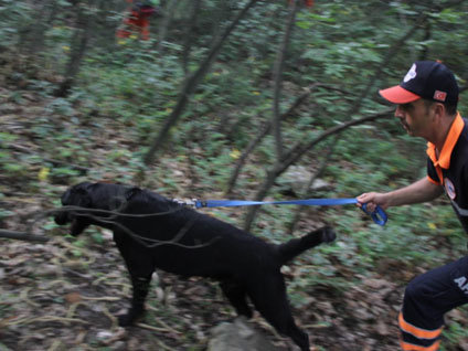 Bursa'da kaybolan Ali Ersin'i 33 kişilik AFAD ekibi arıyor
