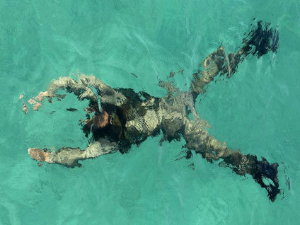 Görenler gözlerine inanamadı