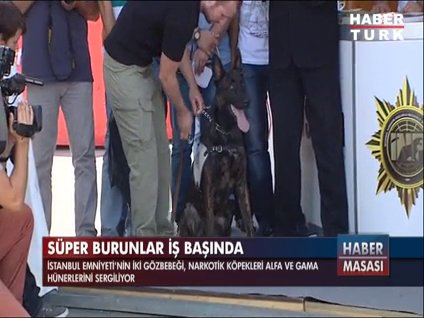 İstanbul Eminönü'nden renkli gösteriler: Alfa ve Gama