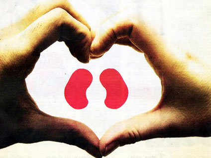 Böbrek kardeşliği