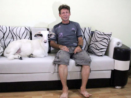 Samsun'da Ayhan Teke'nin evinde beslediği koçun hayatı