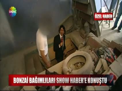 Bonzai gerçeği Show Haber'de
