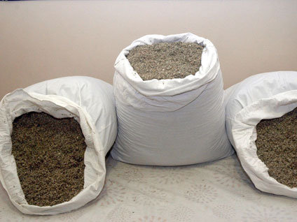 Beyaz ölümün yeni adı: Bonzai