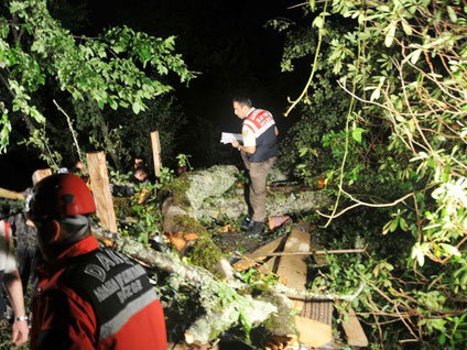 Düzce'de ağaç devrildi: 6 ölü