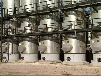 Petrole E-Denetim sistemi