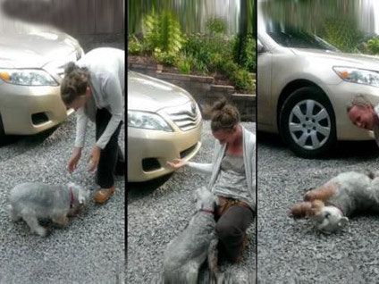 Sahibiyle buluşan köpeğin mutluluğu