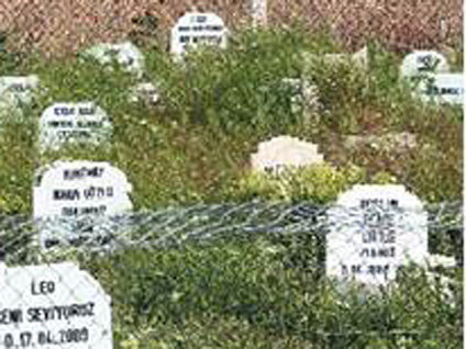 Başkent'e ilk Hayvan Mezarlığı açıldı