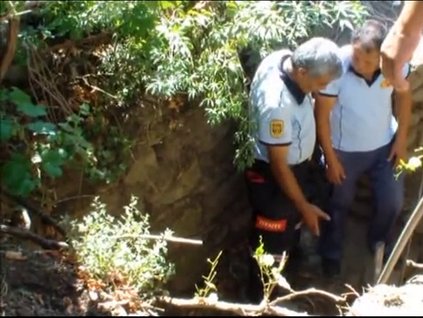 Cep telefonu için öldü