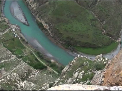 Facianın sebebi raporda