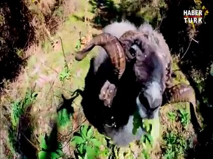 Koç İHA düşürdü