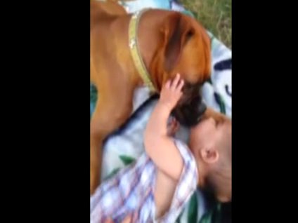 Köpeğin bebek aşkı...