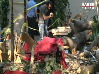 Beykoz'daki ağaç faciasından son görüntüler!