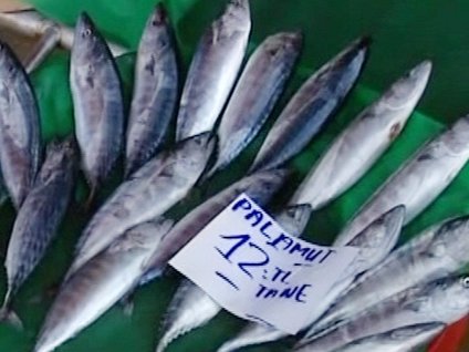 Karadeniz'de balık azaldı