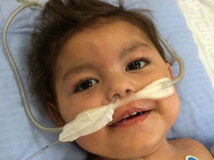 Muhammed'in Yaşam Savaşı