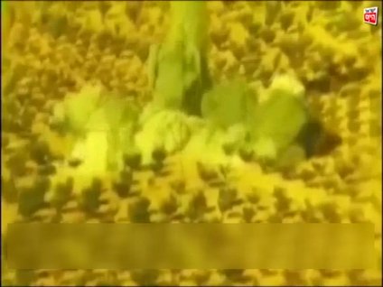 Hizbullah El Nusra'yı insansız uçakla vurdu