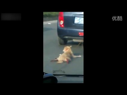 Trafikte kan donduran manzara!