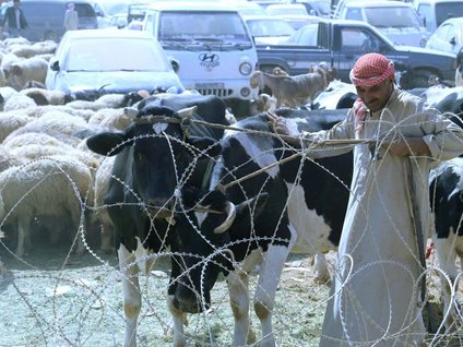 Yardım yine Türkiye'den geldi