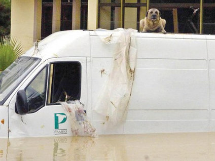 Selde ölüme taksitli ceza