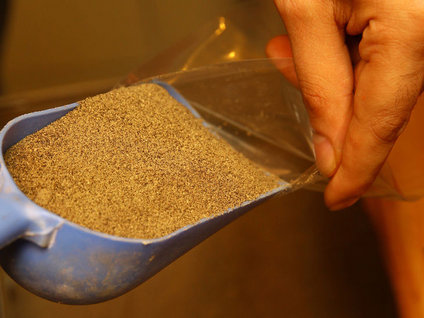 Zam şampiyonu karabiber