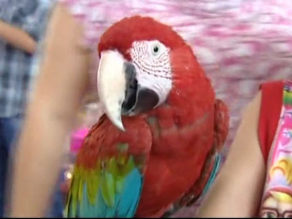 Fuarın sevimli dostları