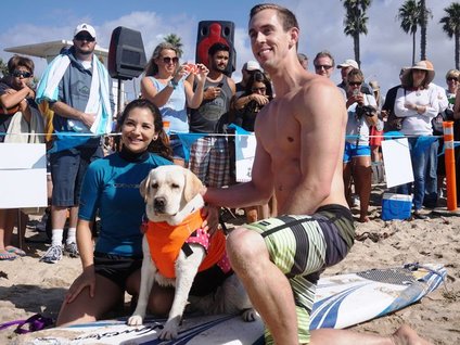 Dört ayaklı sörfçüler