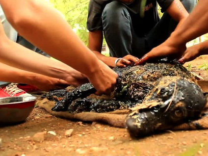 Katran çukuruna düşen köpek mucizesi