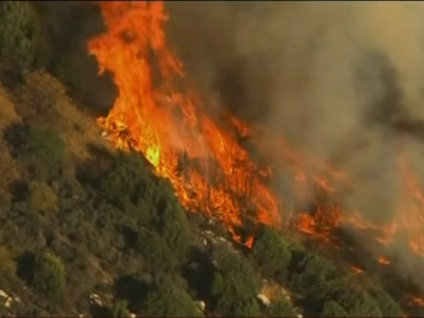 ABD'de orman yangını