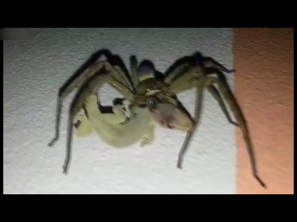 Saniyeler içerisinde yok etti!