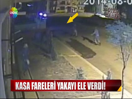 Kasa fareleri yakayı ele verdi!